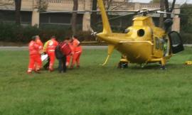 San Severino, cade da una pianta e fa un volo di 3 metri: 64enne trasportato a Torrette