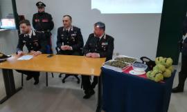 Vasta rete di spaccio nei comuni dell'entroterra maceratese, droga nascosta nel bosco: 3 giovani arrestati (VIDEO-FOTO)