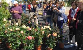 Civitanova, torna la mostra mercato floro-vivaistica "Il Mare in Fiore"