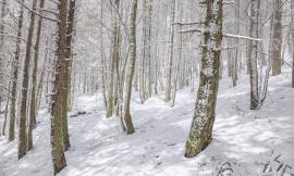 Neve di Maggio a Frontignano di Ussita, la foto-storia di un escursione con la Guida (FOTO)