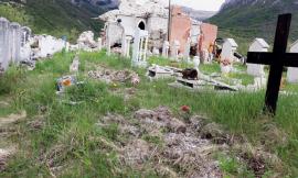 Ussita, cinghiali "profanano" il cimitero di Castelmurato