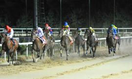 Corridonia, riapre l'Ippodromo Martini: estate ricca di appuntamenti, il programma