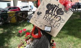 Macerata, rubati ceri e peluche in ricordo di Pamela Mastropietro. La famiglia: "Gesto da imbecilli"