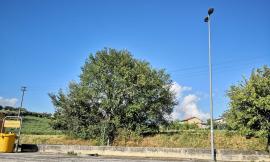 Montecassiano, la denuncia dei residenti: "Siamo senza corrente elettrica da 36 ore"