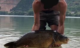 Allarme moria di carpe sul lago di Caccamo: lunedì 9 settembre un incontro per fare luce sul fenomeno