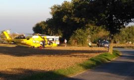 Pollenza, precipita dall'albero mentre raccoglie olive: interviene l'eliambulanza (FOTO)