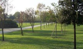 Tre nuove aree verdi attrezzate a Macerata: anche un giardino intitolato all'ex sindaco Marconi