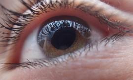 A Matelica il convegno “il Glaucoma nella Terra del Terremoto"