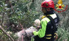 Matelica, cane disperso dopo una battuta di caccia: recuperato in un dirupo dai Vigili del Fuoco