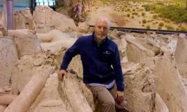 "Evoluzione degli elefanti nel Pleistocene": Unicam in un team internazionale