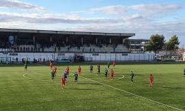 Il Matelica torna alla vittoria: Chieti al tappeto