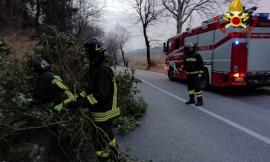 Il vento mette in ginocchio l'entroterra maceratese: Vigili del Fuoco al lavoro