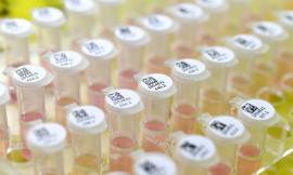 Coronavirus: nelle Marche 61 casi positivi, salgono a 2 nel Maceratese