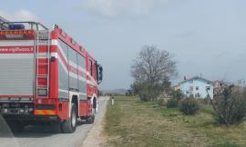 Serrapetrona, cade dall'albero: 70enne in gravi condizioni, interviene l'eliambulanza (FOTO)
