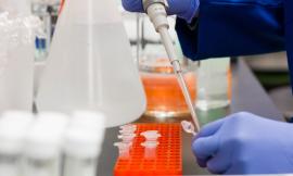 Coronavirus, 2 casi positivi a Colmurano. Il sindaco: "Sono in discrete condizioni di salute"