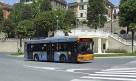 Macerata, col primo giorno di scuola torna il traffico. Il Comune: "Usate anche i mezzi pubblici"