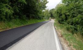Strade provinciali: sette cantieri avviati per 1,5 milioni di euro