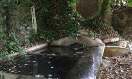 Montelupone, al via la pulizia delle fonti rurali