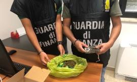 Montefano, beccato con 430 grammi di hashish e marijuana: arrestato un 20enne (VIDEO e FOTO)