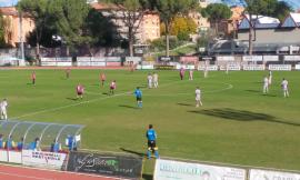 Serie D, corre la Recanatese - si ferma il Tolentino: per i giallorossi derby vinto e testa della classifica