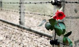 Appignano, 2 appuntamenti online per la Giornata della Memoria e del Ricordo: come partecipare