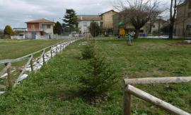 Appignano onora la sua 'Bandiera Verde', i piccoli abeti del Natale 2020 trovano casa