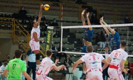 La Med Store Macerata sbarca ai quarti di play-off: Portomaggiore spazzato via ancora in 3 set