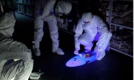Errori e disattenzioni sulla scena del crimine