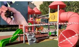 Mogliano - Vetri di bottiglie rotte sullo scivolo, tre bimbi feriti: "Gravissimo atto teppistico"
