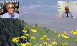 Fioritura Castelluccio, nessun accesso dalle Marche. I sindaci: "Colpo mortale alla nostra economia"