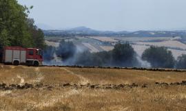 Pollenza, stoppie a fuoco: Vigili del Fuoco al lavoro da ore