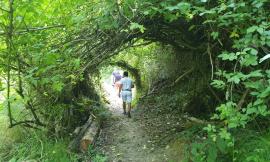 Tornano i turisti e le attività culturali nell'area di Mogliano