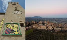 Montelupone, torna la festa del miele più antica d'Italia: il 21 e 22 agosto c'è Apimarche