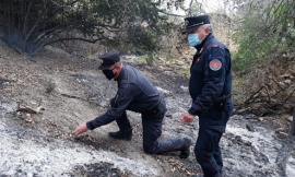 Mogliano, quasi un ettaro di bosco in fiamme: il responsabile è un 63enne, rischia fino a 5 anni di carcere
