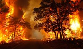 L'Italia brucia: incendi dolosi appiccati da criminali