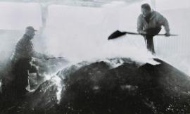 Cessapalombo, Fernando Maurizi ci racconta la tradizione carbonaia in via di estinzione (FOTO) Cessapalombo, Fernando Maurizi ci racconta la tradizione carbonaia in via di estinzione (FOTO)