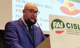 Fermo Pesca 2022, Fai Cisl Marche: "Ipotesi inaccettabile, futuro dei pescatori a rischio"