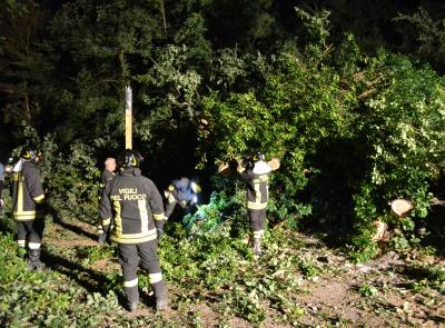 Cadono due querce nel cuore della notte: vigili del fuoco al lavoro per quattro ore