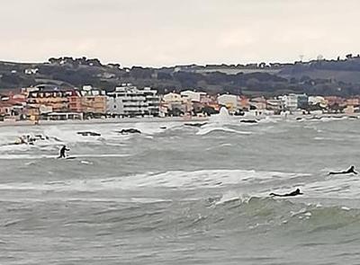 Surfisti sfidano le onde a Civitanova