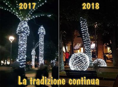 Civitanova, òps è successo di nuovo: continua il trend delle palme hot
