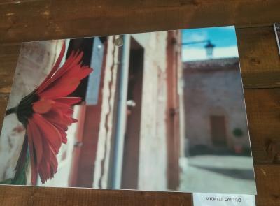 Aperta la mostra “Scatta la Primavera” al Giardino delle Farfalle di Cessapalombo