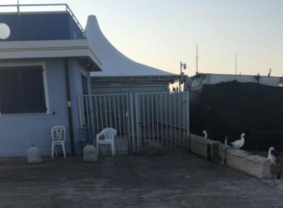 Civitanova, smantellata la pescheria abusiva (FOTO)
