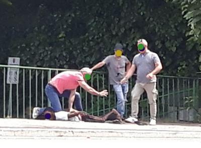 Macerata, inseguimento "thrilling" in via Spalato: ammanettato un cittadino straniero