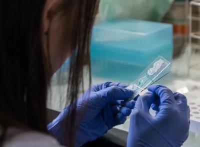Coronavirus, 94 persone in isolamento nelle Marche: 17 in provincia di Macerata