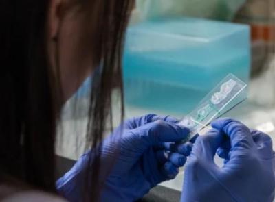 Coronavirus Marche: su 745 tamponi effettuati nelle ultime 24 ore, sono 141 i nuovi casi positivi