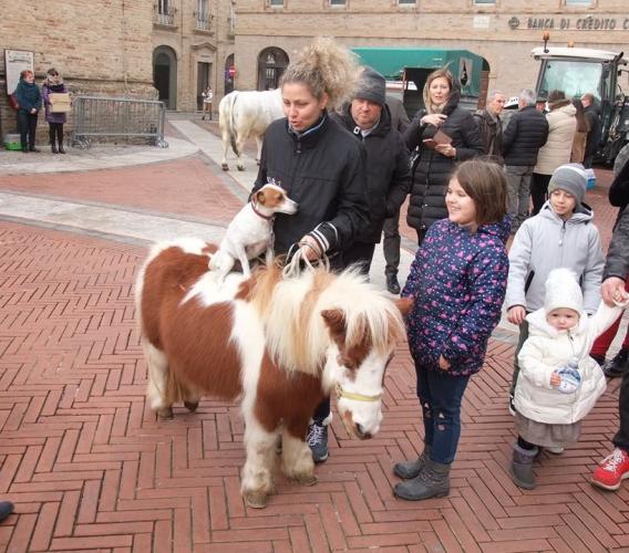 Recanati, la Festa di Sant'Antonio Abate affolla piazza Leopardi (FOTOGALLERY)