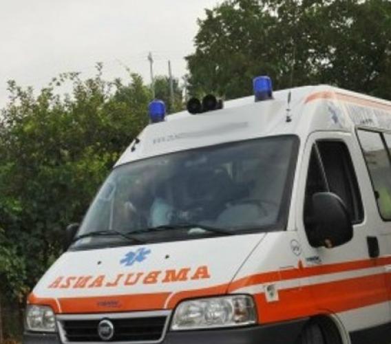 Schiacciato da un albero, incidente a Loro Piceno