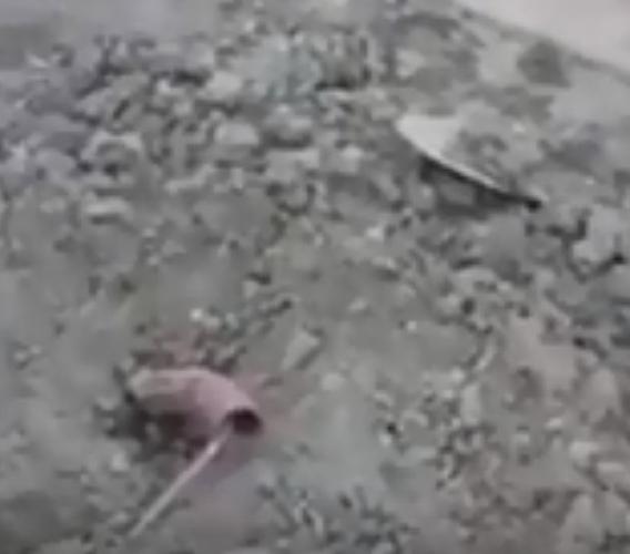 Cavo elettrico sul giardino della casetta: il fatto diventa una denuncia contro ignoti