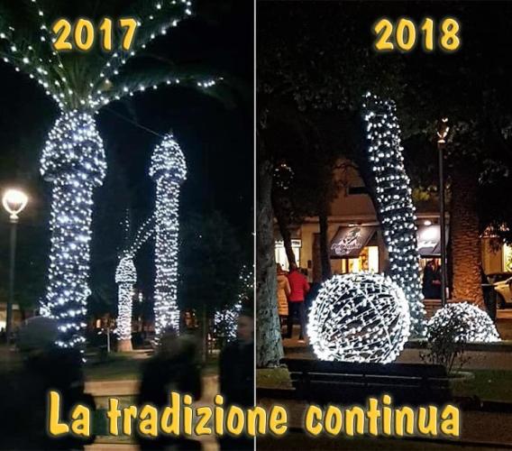 Civitanova, òps è successo di nuovo: continua il trend delle palme hot