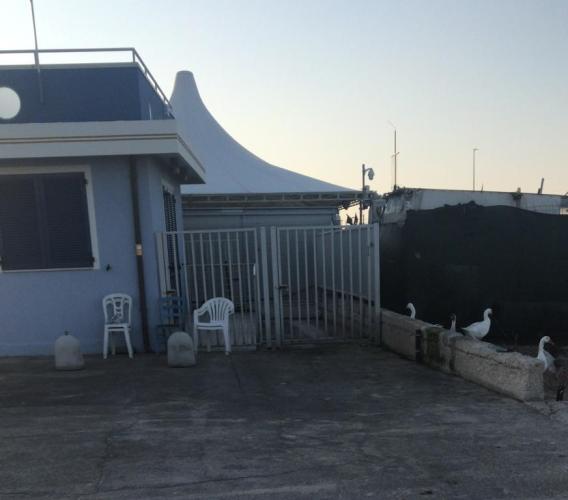 Civitanova, smantellata la pescheria abusiva (FOTO)